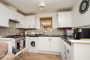 Photo 11- click for photo gallery